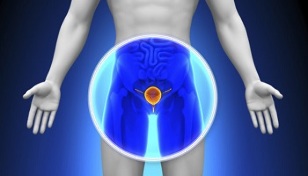 drug treatment of prostatitis