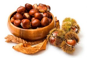 Horse chestnut for the treatment of prostatitis