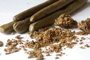 Propolis suppositories for the treatment of prostatitis