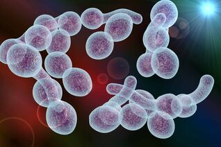 causative agent of bacterial prostatitis in men