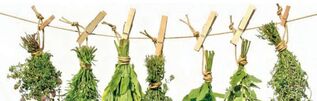 Effective herbs for prostatitis